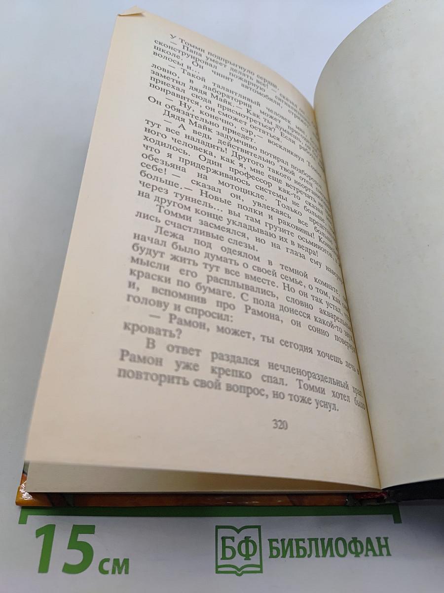 Тайна чаек. Тайна красного прилива