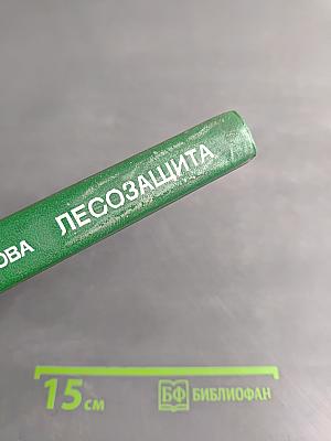 Лесозащита