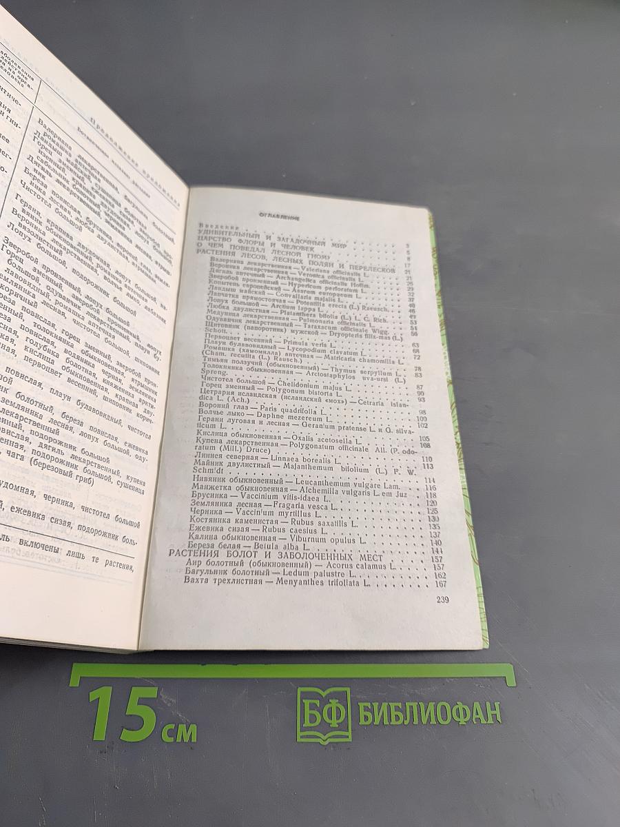 Зеленая аптека