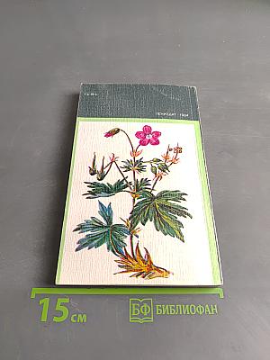 Зеленая аптека