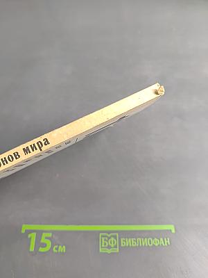 10 чемпионов мира