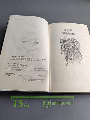 Путь в Версаль. Анжелика и король