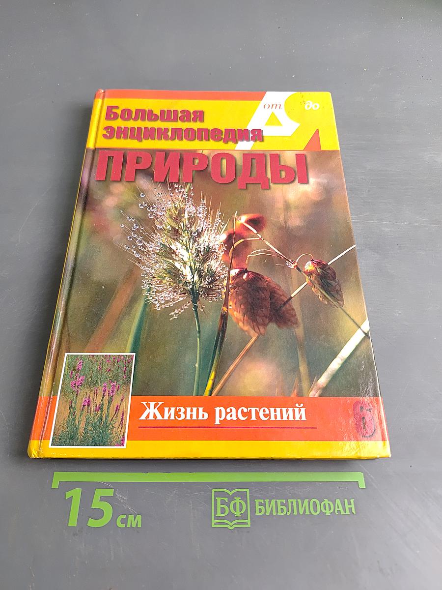 Большая энциклопедия природы. Жизнь растений. Том 6