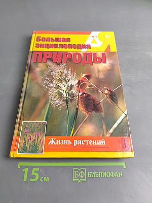 Большая энциклопедия природы. Жизнь растений. Том 6