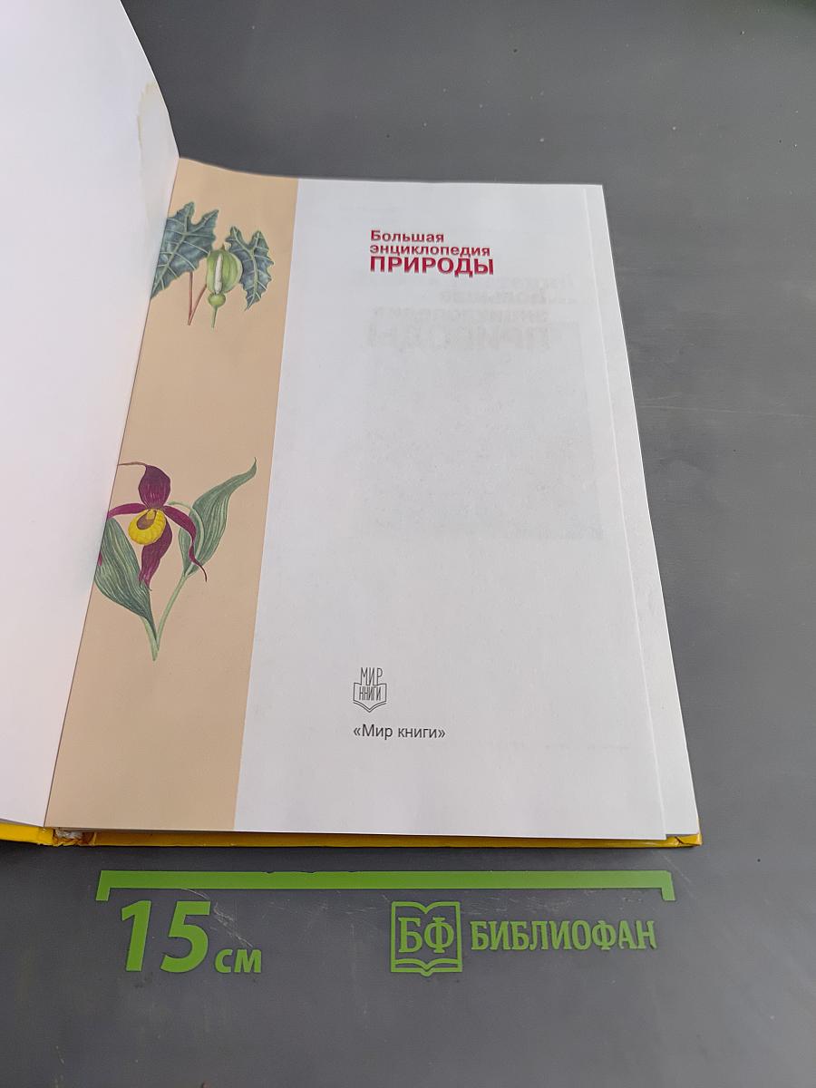 Большая энциклопедия природы. Жизнь растений. Том 6