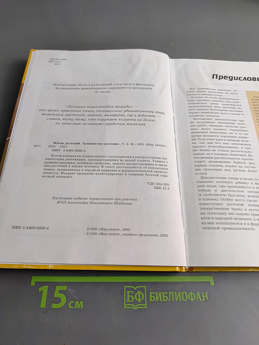 Большая энциклопедия природы. Жизнь растений. Том 6