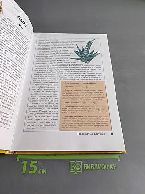 Большая энциклопедия природы. Жизнь растений. Том 6