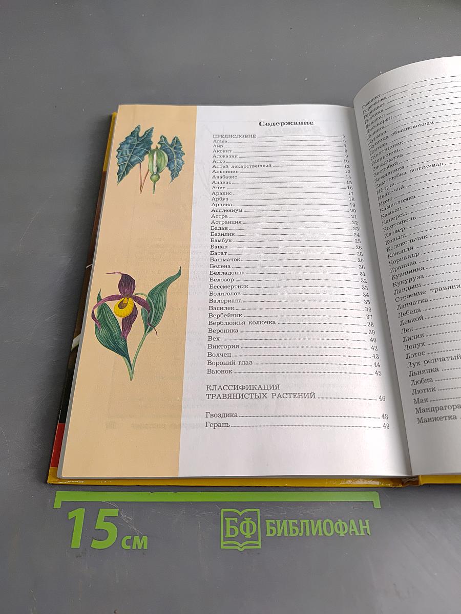 Большая энциклопедия природы. Жизнь растений. Том 6