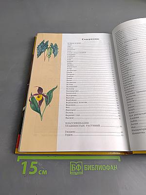 Большая энциклопедия природы. Жизнь растений. Том 6