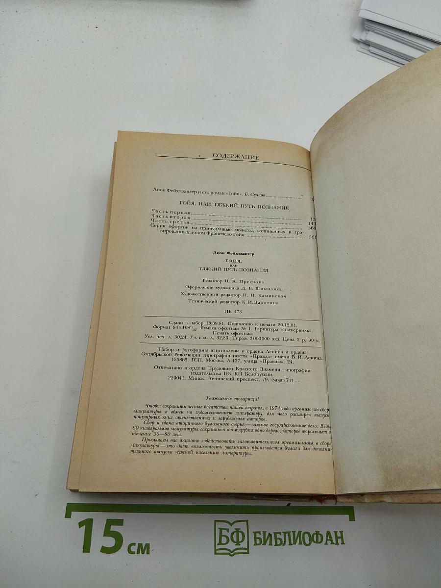 Гойя, или Тяжкий путь познания