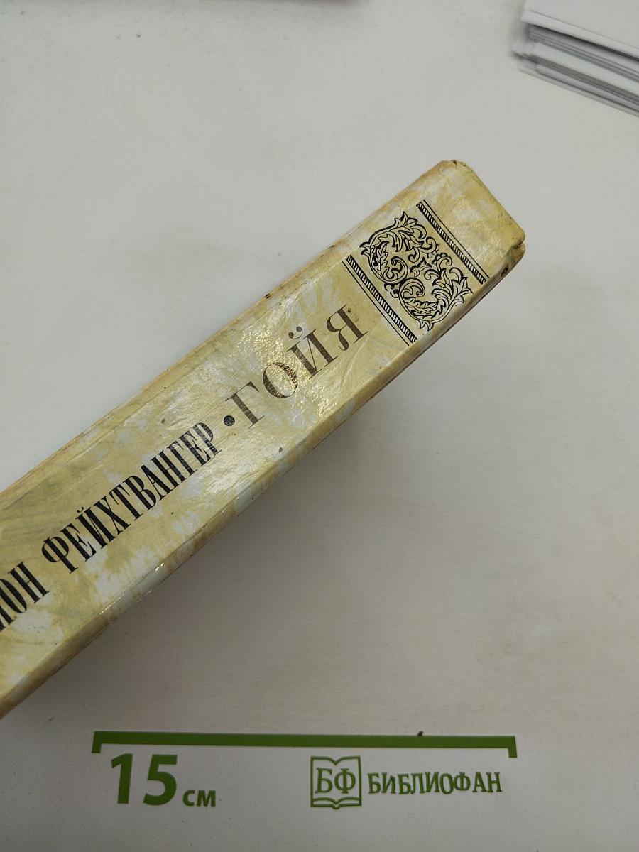 Гойя, или Тяжкий путь познания