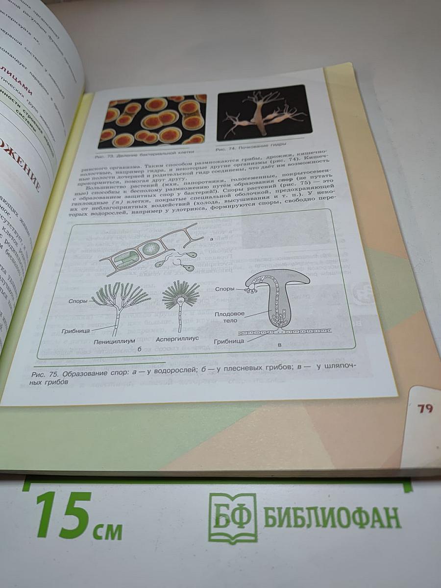 Биология 9 класс