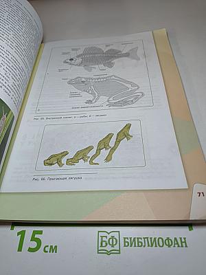 Биология 9 класс