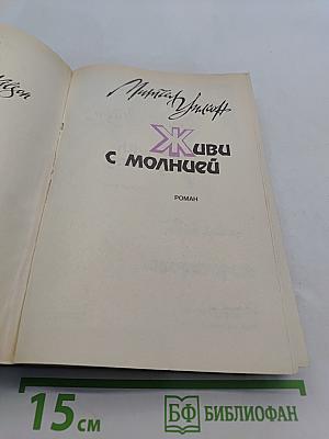 Живи с молнией
