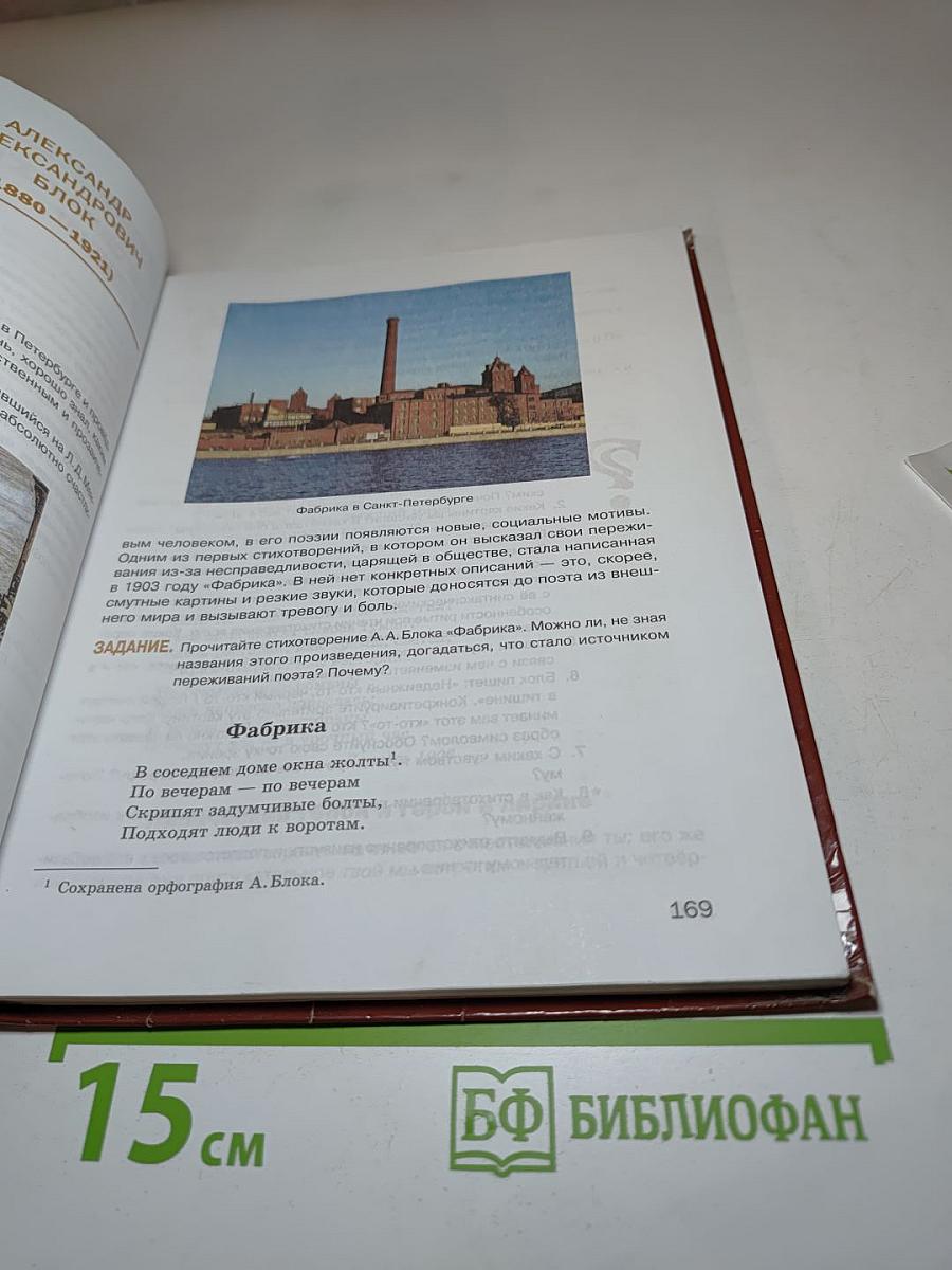Литература. Учебник для 8 класса. Часть 2