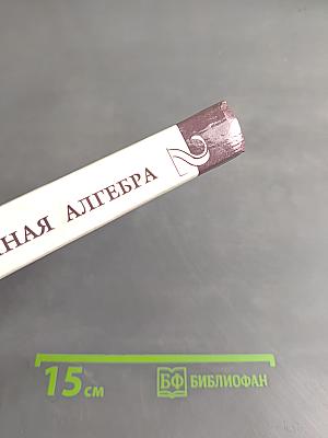 Введение в алгебру. Линейная алгебра. Часть II