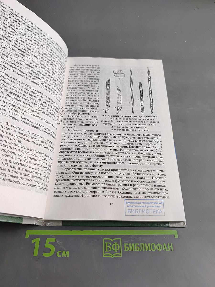 Материаловедение для профессий, связанных с обработкой дерева