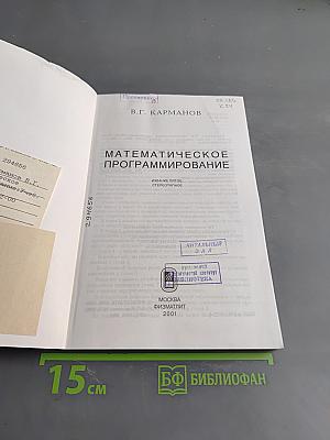 Математическое программирование