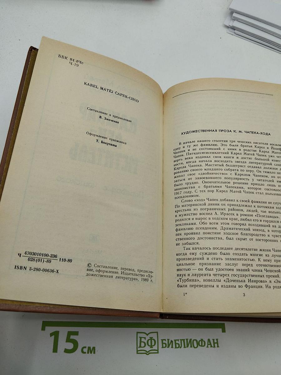 Кашпар Ден-Мститель