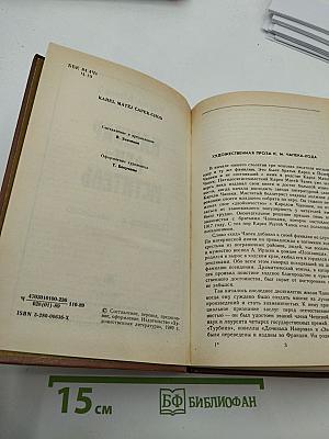 Кашпар Ден-Мститель