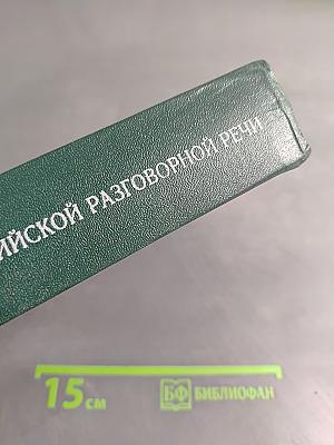 Интенсивный курс английской разговорной речи. Американский вариант