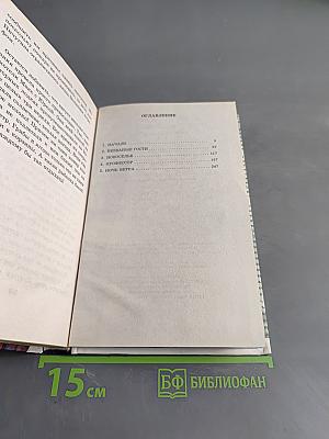 Нереальные каникулы