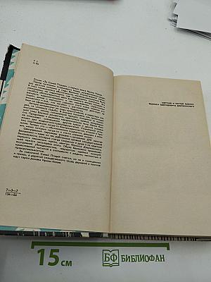 За синей птицей