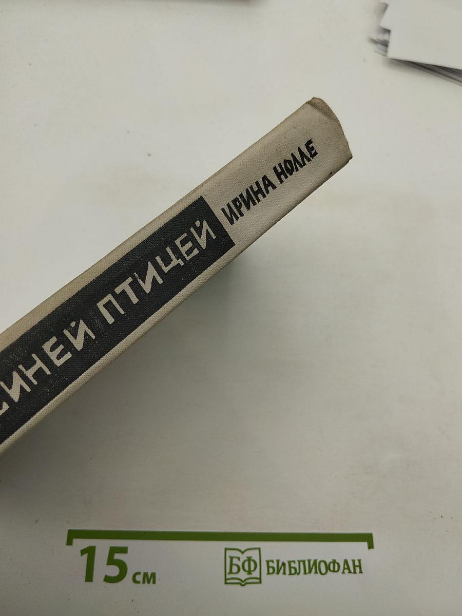 За синей птицей