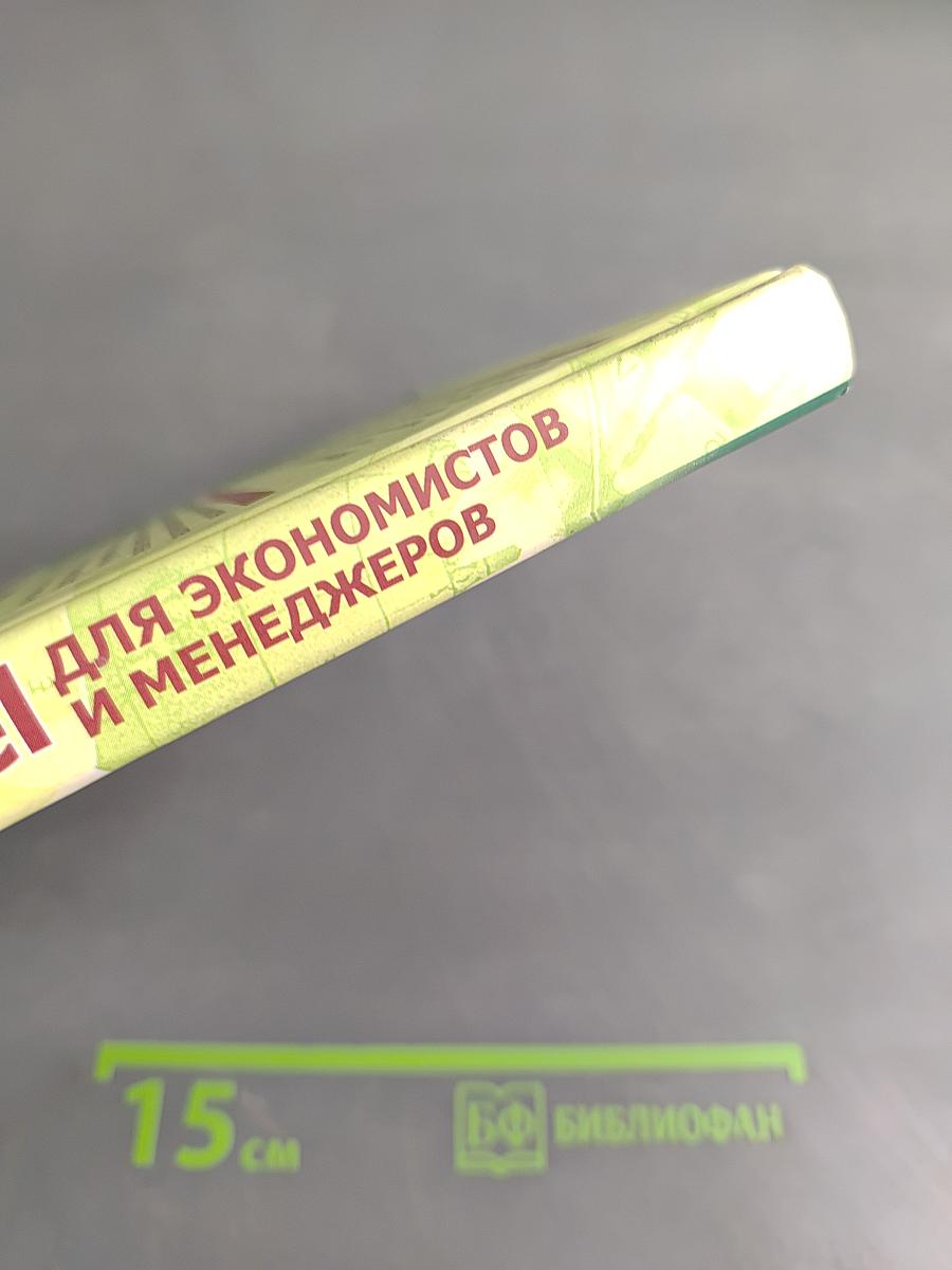 Excel для экономистов и менеджеров
