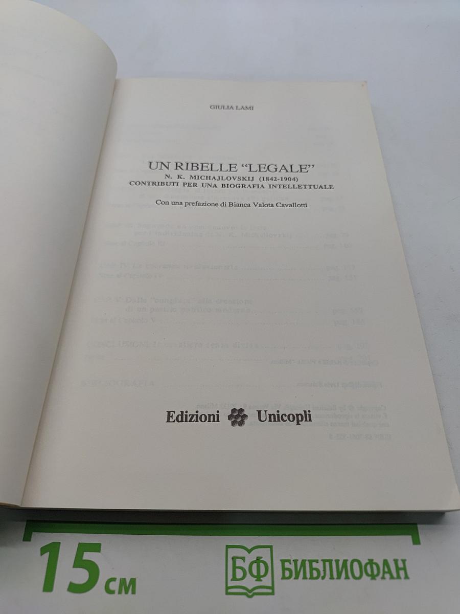 Un ribelle "legale": N.K. Michajlovskij (1842-1904) : contributi per una biografia intellettuale
