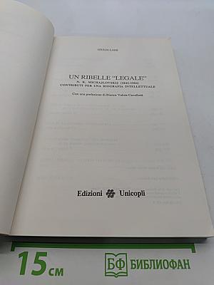 Un ribelle "legale": N.K. Michajlovskij (1842-1904) : contributi per una biografia intellettuale