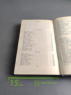 Белый Ягуар, Вождь Араваков