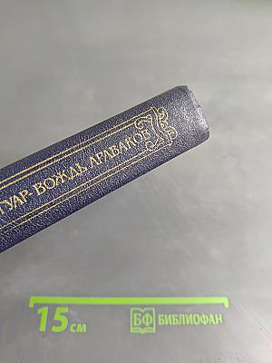 Белый Ягуар, Вождь Араваков