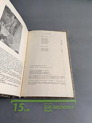 Хранить вечно. Документальный роман. Книга 1