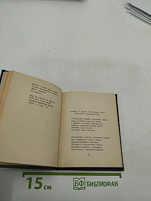 Соняшник