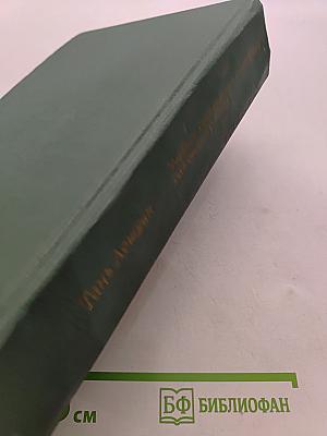 Учебник современного китайского разговорного языка. Часть II