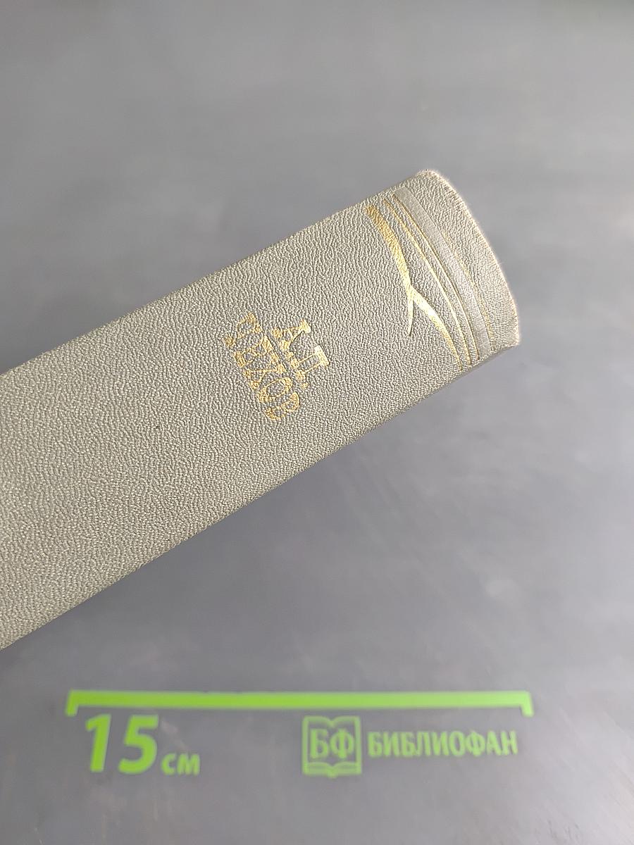 Собрание сочинений. Том двенадцатый. Письма 1895-1904