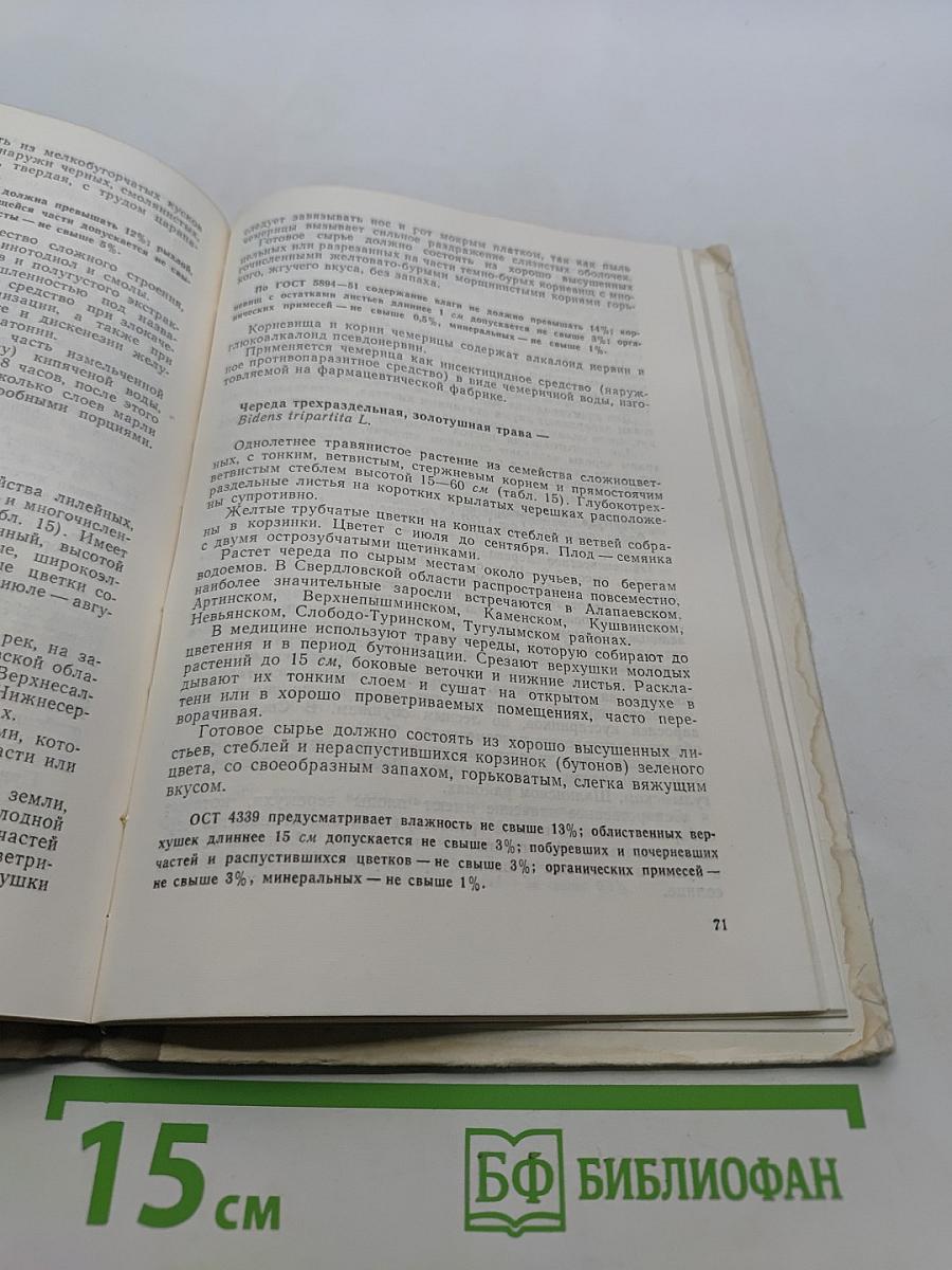 Лекарственные растения Среднего Урала