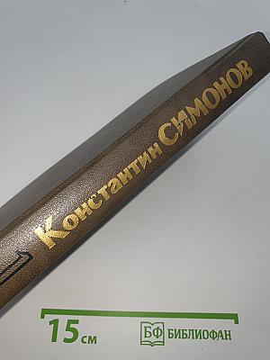 Живые и мертвые. Книга первая