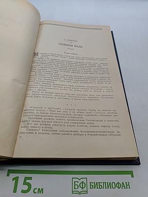 Солëная Падь