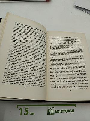 Крошка Доррит. Книга первая. Том двадцать третий