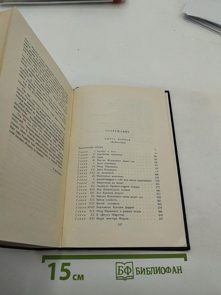 Крошка Доррит. Книга первая. Том двадцать третий