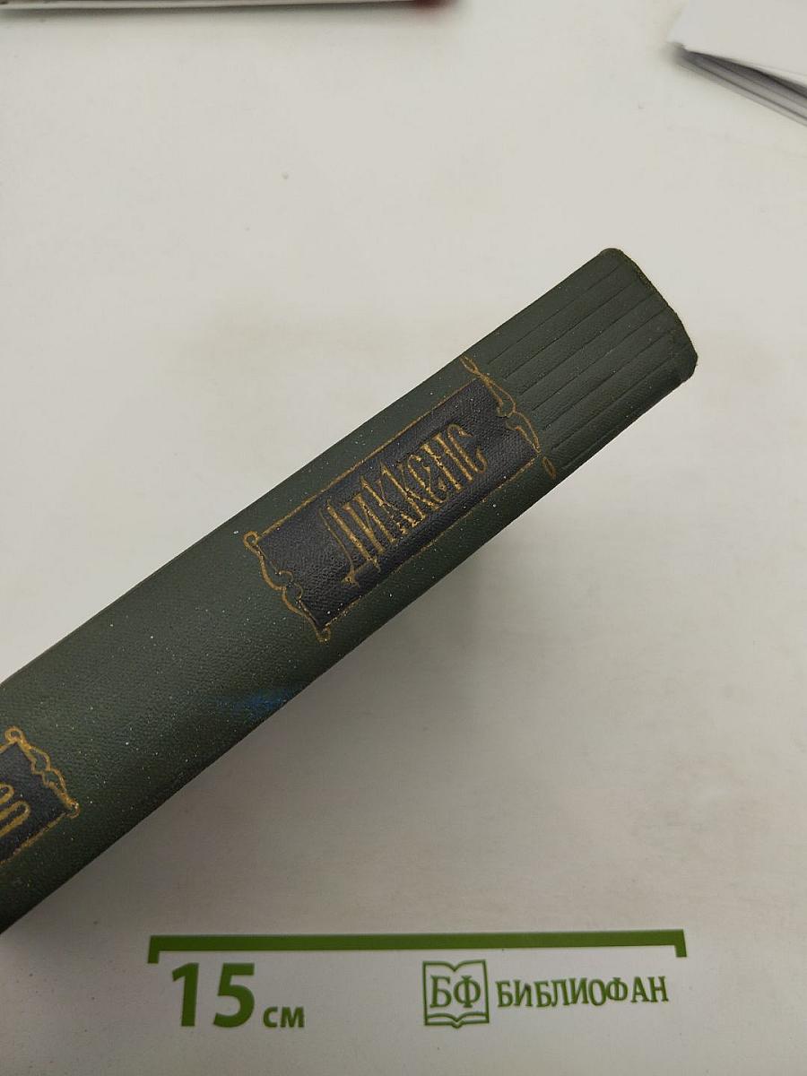 Крошка Доррит. Книга первая. Том двадцать третий