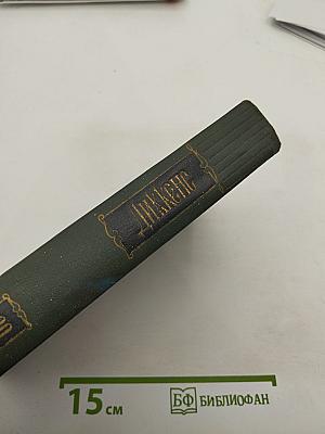 Крошка Доррит. Книга первая. Том двадцать третий
