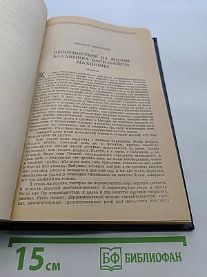 Происшествие из жизни Владимира Васильевича Махонина