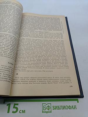 Крик совы