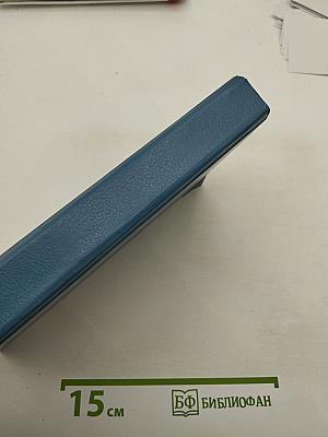 Первый человек в Риме. Том II