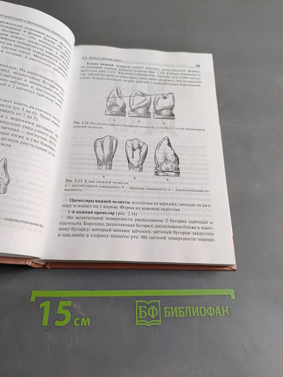 Зубопротезная техника. Учебник для медицинских училищ и колледжей. Второе издание