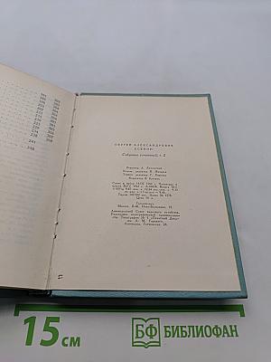 Собрание сочинений. Том второй. Стихотворения (Октябрь 1917-1921)