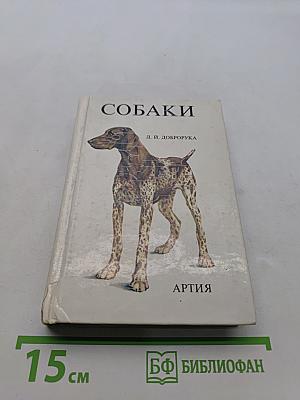 Собаки